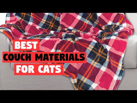 Top 5 Best Couch Materials for Cats in 2022 | Review and Buying Guide