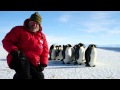 Why I Do Science Dan Costa KQED QUEST