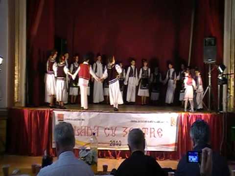 dans sarbesc cenei partea 1/2