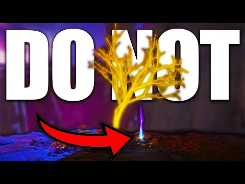 Why you shouldn't pick this item up in Elden Ring