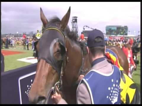 2013 VRC Oaks Stakes