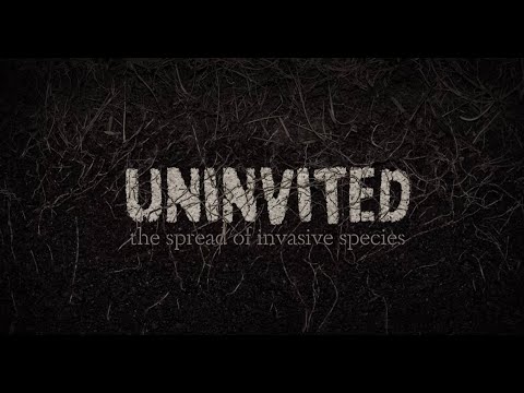 招かれざるもの: 外来種の蔓延