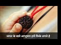 Mahashivratri Mahadev Whatsapp Status Video Lord Shiva Bholenath Mr Aditya Status Guru Ji