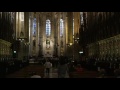 In Barcelona Cathedral Catedral De Barcelona