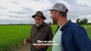 Download lagu To the Rhythm of the Earth: Six Years of Farm Investigation mp3 Download lagu To the Rhythm of the Earth: Six Years of Farm Investigation mp3