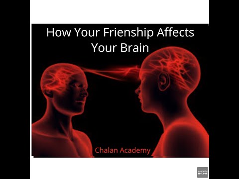 How your Friendship Affects your Brain