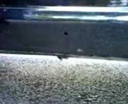 comment augmenter le bruit d'echappement