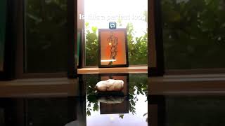 #cool #satisfyingvideo  #stopmotion #video #viral #shorts #art #Sculpture #Destruction#Process#cute