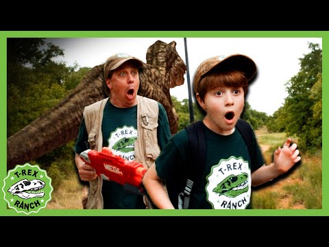 Dinosaur Box Fort Challenge & Escape! | 🦖🦕 T-Rex Ranch Dinosaur Videos