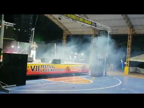 porque me ignoras en vivo