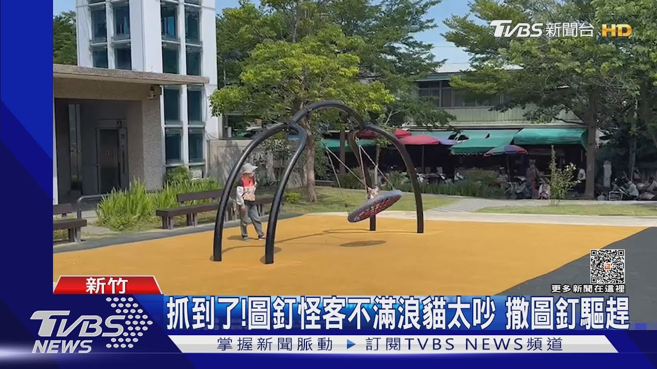 抓到了！圖釘怪客不滿流浪貓太吵　撒圖釘驅趕