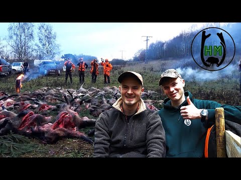 🍂 Drückjagd Session | 4 Jagden - Quer durch Deutschland HOD - Jagdkrone