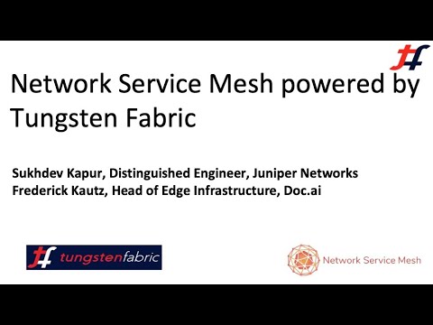 Integrating Tungsten Fabric and Network Service Mesh