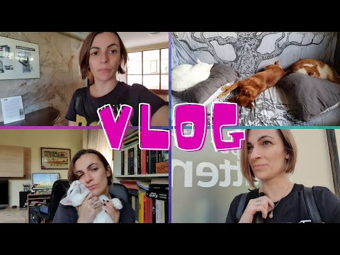 QUESTO SI CHE E' UN VLOG BREVE - Lunedì 27 settembre 2021