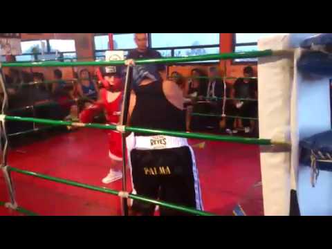 24 de septiembre de 2016(1)