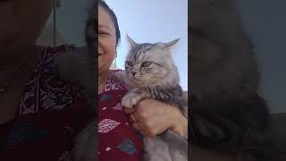 Download lagu #buhayofwksa my sweet cat bea #viralcutecat #lifecatloverpets#shortsvideo #lelozelmbata mp3 Download lagu #buhayofwksa my sweet cat bea #viralcutecat #lifecatloverpets#shortsvideo #lelozelmbata mp3