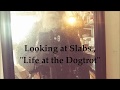 Looking At Slabs Life At The Dogtrot