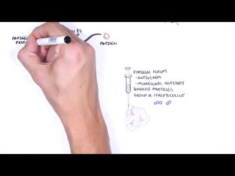 Hypersensitivity Type III (Immune complex hypersensitivity) - causes,  pathophysiology