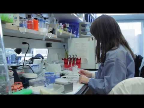 Стволови клетки разказаха за маниакално-депресивната психоза