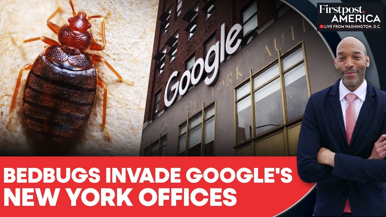 Bedbugs Enter Google's New York City Offices, Employees Told To Stay Home | Firstpost America | N18G