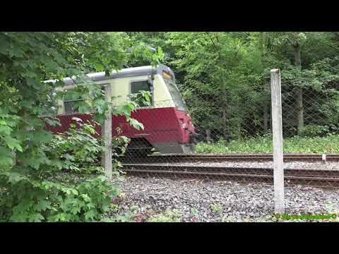 Harzer Schmalspurbahn 2020 / Die Selketalbahn / Einmal quer durch das Selketal. (28.06.2020)