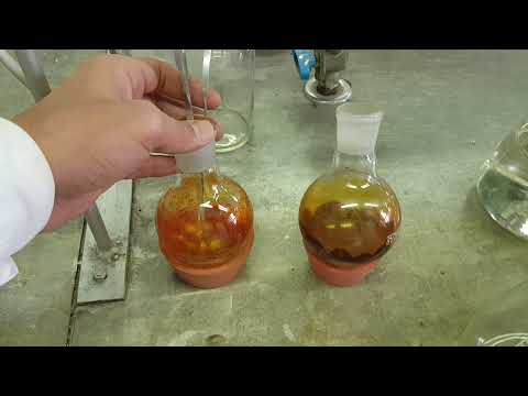 Asbarg Extract Powder