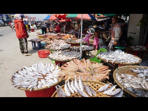 Cambodia Dry Fish Market Tours - Plenty Dry Fish, Alive Fish, Seafood & More Food @Phsa Trey Kilo9