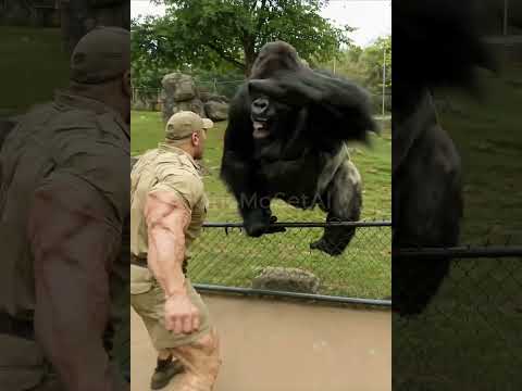 Man vs Gorilla 3!