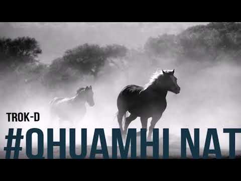 Video thumbnail NKooJ86qRjA