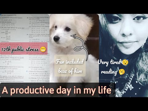 A Productive Day In My Life || fun atrocities with my pup Lhasa Apso || Sunday Funday || By Ashni
