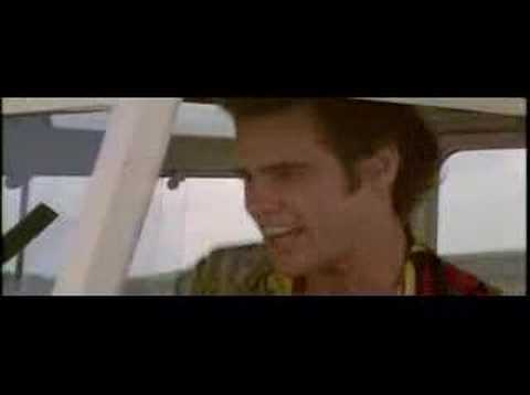 Ace Ventura: Pet Detective Trailers And Videos