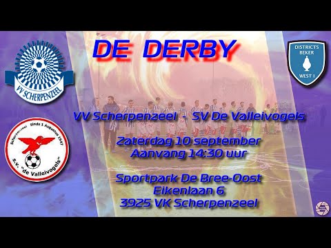 Goals vv Scherpenzeel  -  sv de Valleivogels