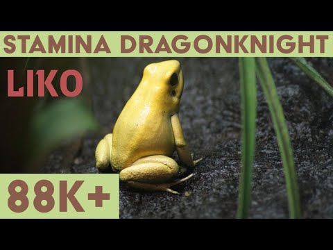 Stamina Dragonknight PVE Build (88k+) - DW/BOW - Greymoor - Elder Scrolls Online ESO