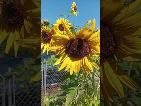 16 de agosto de 2025