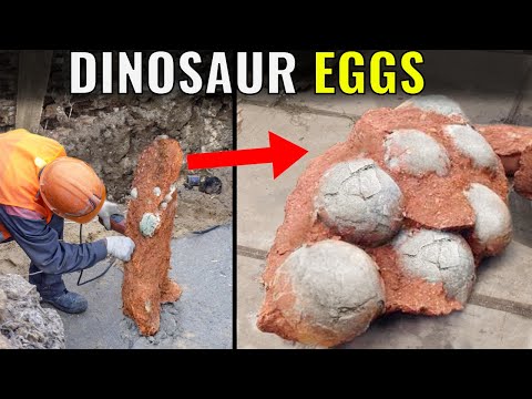 12 Most Incredible Recent Discoveries Made During Construction