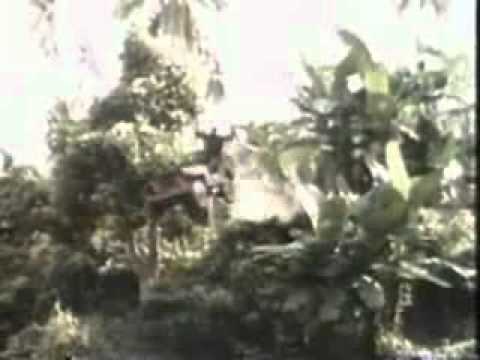 POW the Escape trailer (Cannon Films)