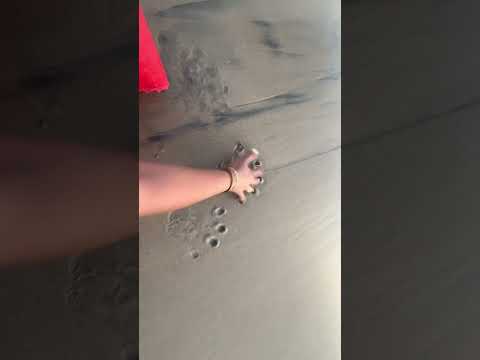 Fun in the Malvan beach 🏖️