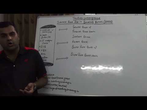 Interest Rate Risk in Banking Books (IRRBB)