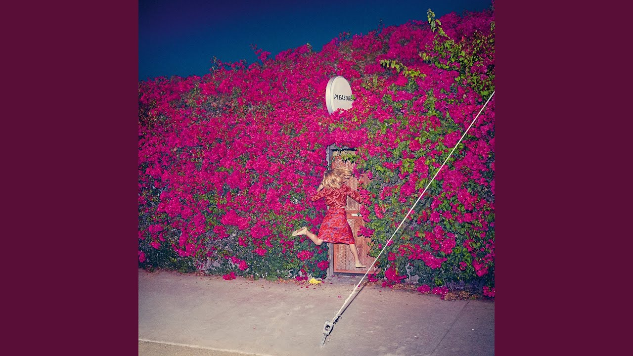 Feist - The Wind