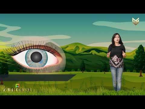 Gyansrota - Making education easy and interesting. Let's read, learn and win