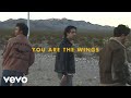 Jonas Brothers Wings Lyric Video