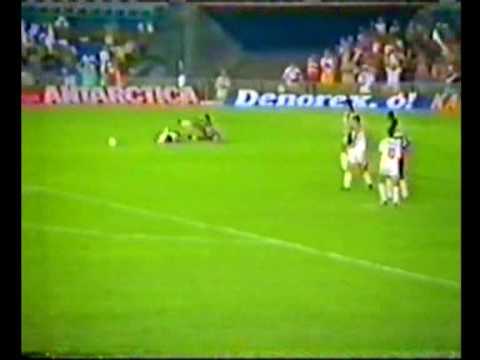 Campeonato Brasileiro 1991 - Vasco 3x0 Botafogo - Gols da partida