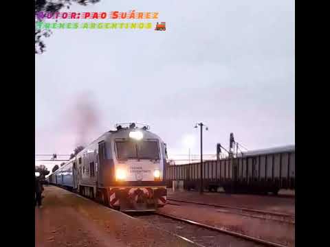 Tren #572 saliendo de estación justo daract (san Luis) con locomotora titular CKD8H003 21_4_24