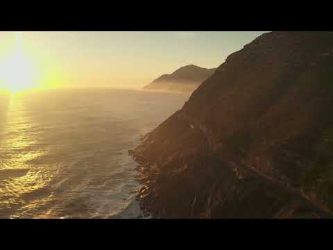 Work of art- Bonsaye Vicki Vox