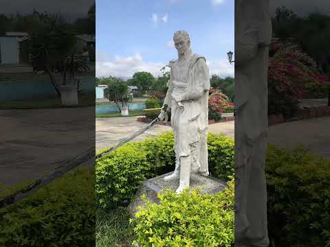 Palito Blanco en La Trinidad Yaracuy #turismo