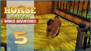 Horse Haven || Breeding Apollo & Scarlet Apple! - Episode #5