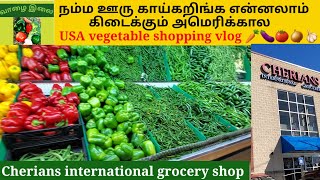 America cherians international grocery shop in tamil video/USA vegetable shopping vlog 🥕🍆🍅🧄🧅