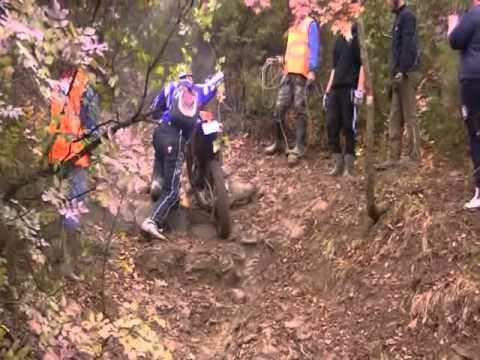 Motorumata di Anghiari