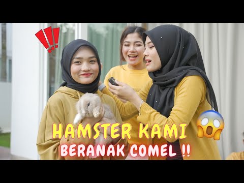 HAMSTER KAMI BERANAK COMEL !! - BELI BANYAK JENIS SANGKAR COMEL !
