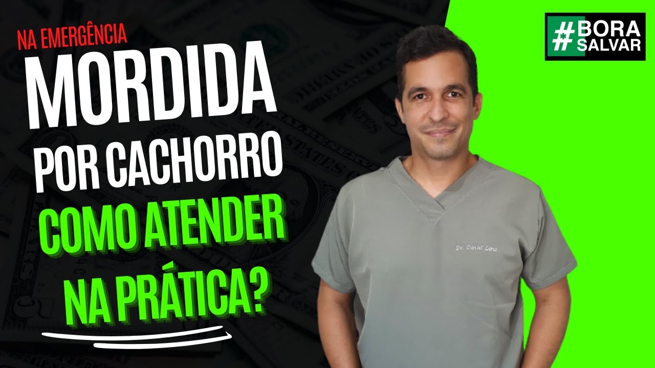 Mordida por Cachorro: como atender na prática?